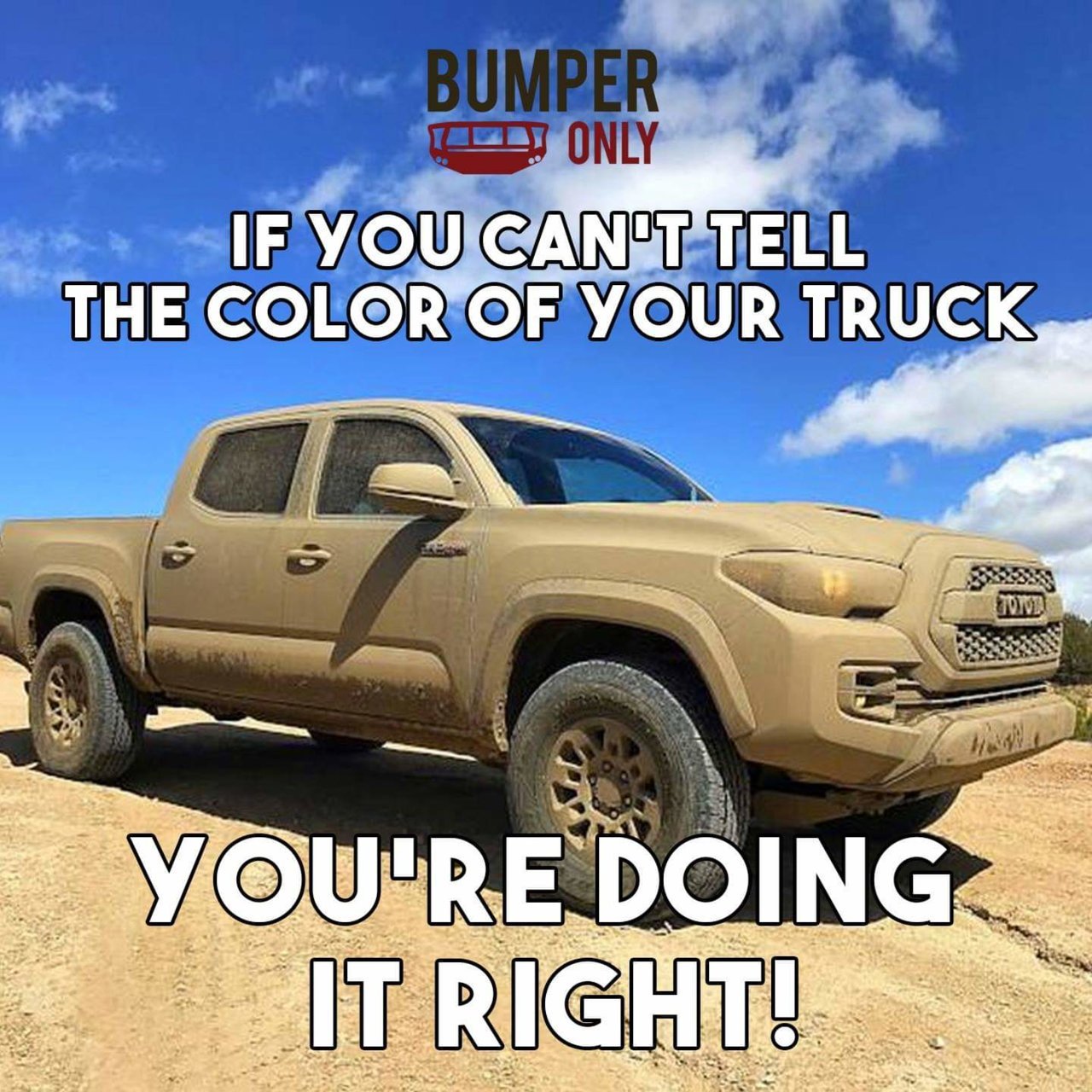 FB_IMG_1555706844534.jpg