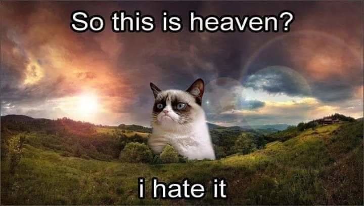 FB_IMG_1558133350514.jpg