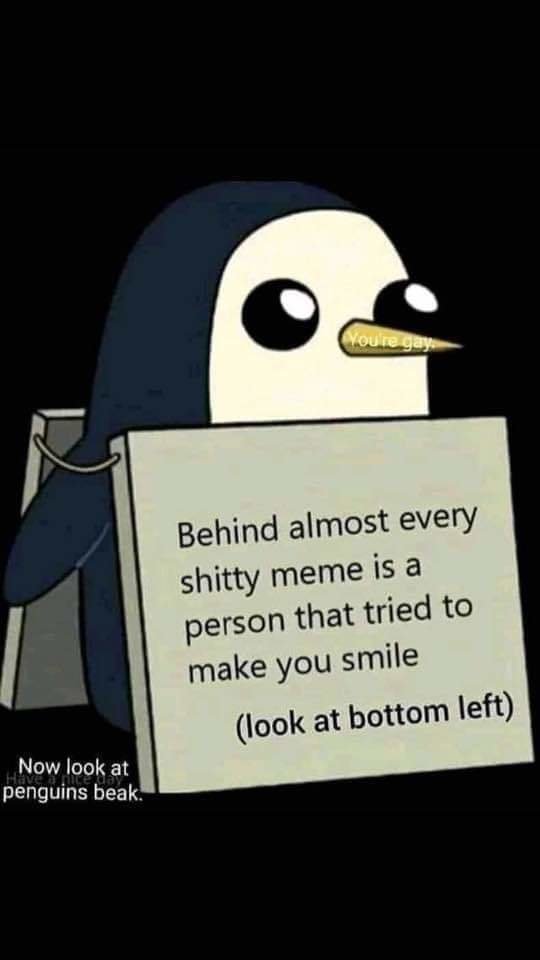 FB_IMG_1564588471705.jpg