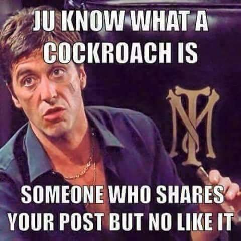 FB_IMG_1564612923737.jpg