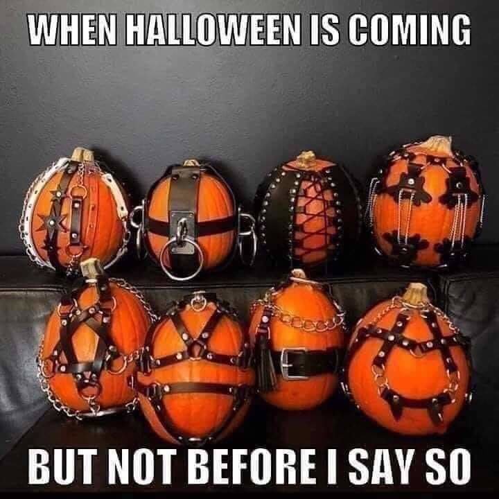 FB_IMG_1568288217435.jpg