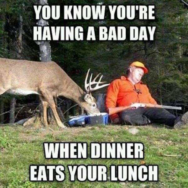 FB_IMG_1569770333765.jpg