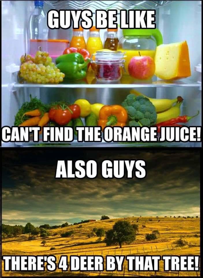 FB_IMG_1569864164633.jpg