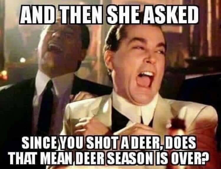 FB_IMG_1573179164671.jpg