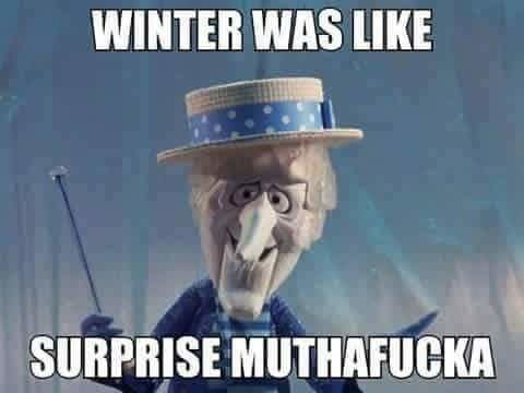FB_IMG_1573363851102.jpg