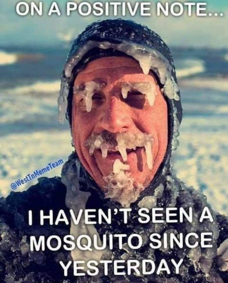 FB_IMG_1573616292151.jpg