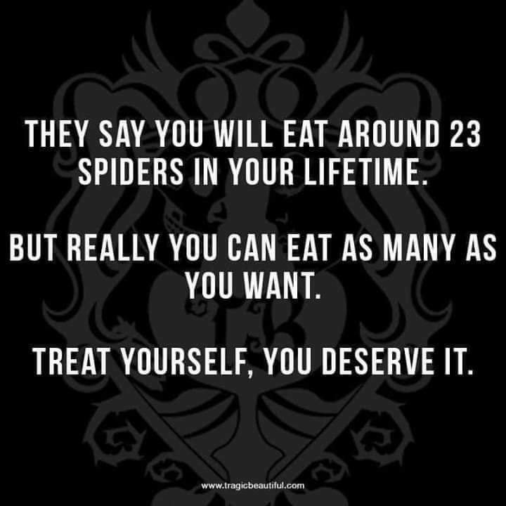 FB_IMG_1575128305058.jpg