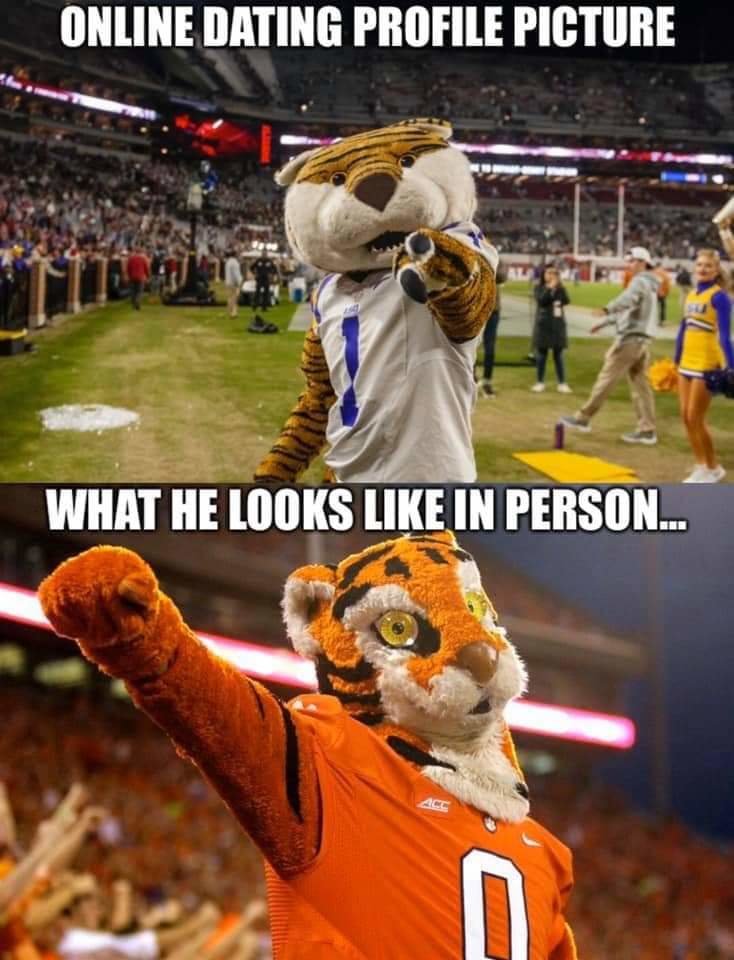 FB_IMG_1578983633509.jpg