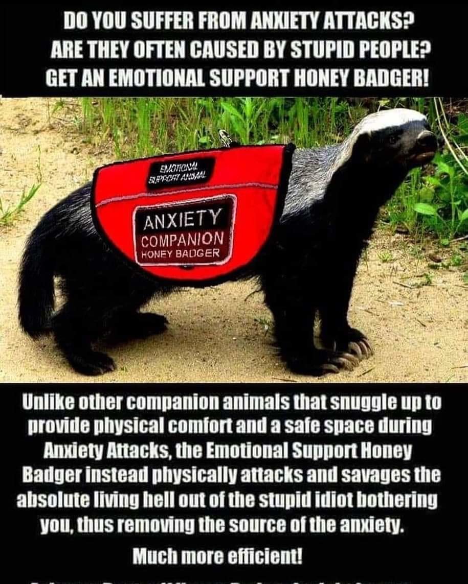 FB_IMG_1581073648689.jpg