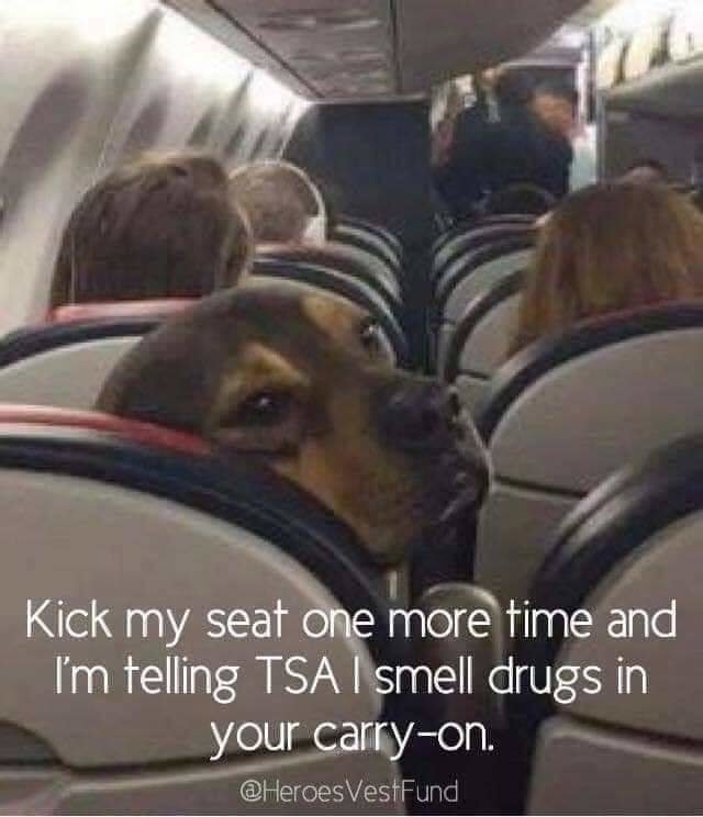FB_IMG_1581073738507.jpg