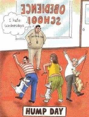 FB_IMG_1581555373783.jpg