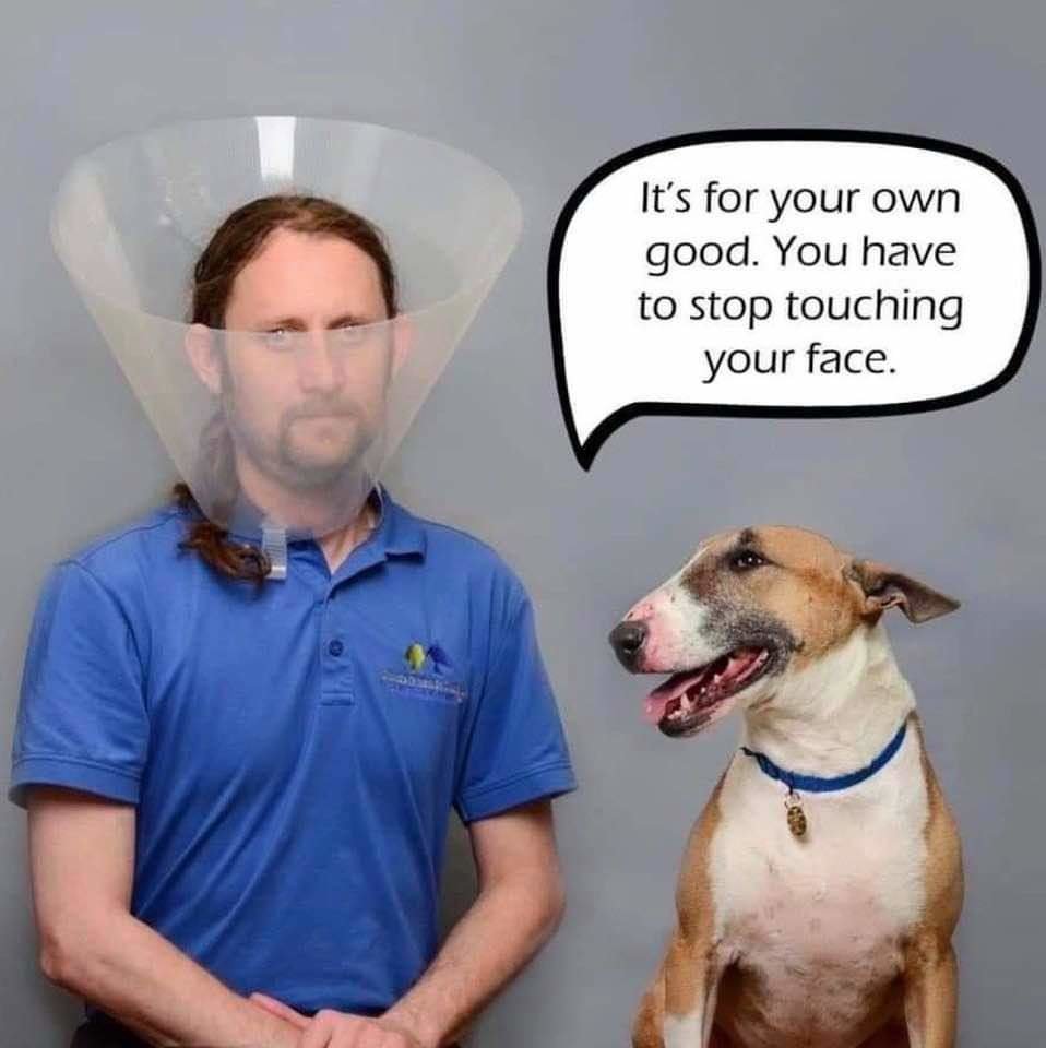 FB_IMG_1584992595250.jpg