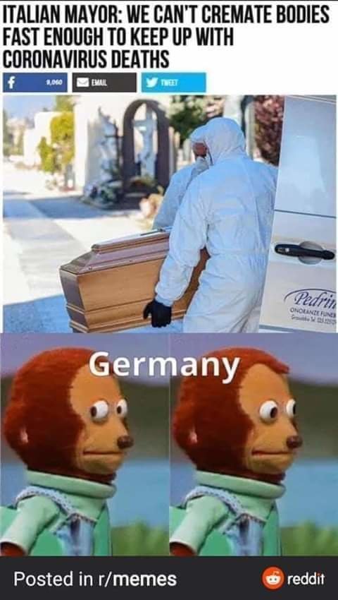 FB_IMG_1585017088266.jpg