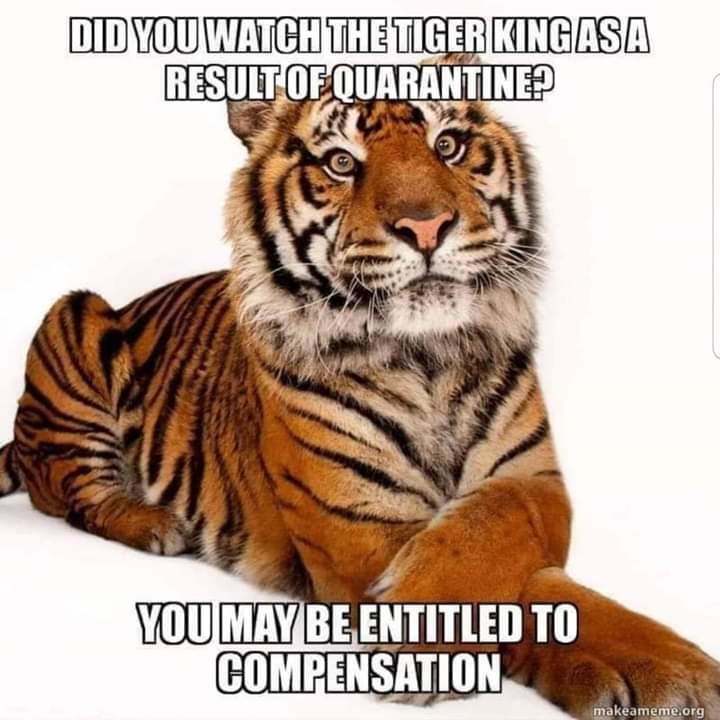 FB_IMG_1586307490150.jpg