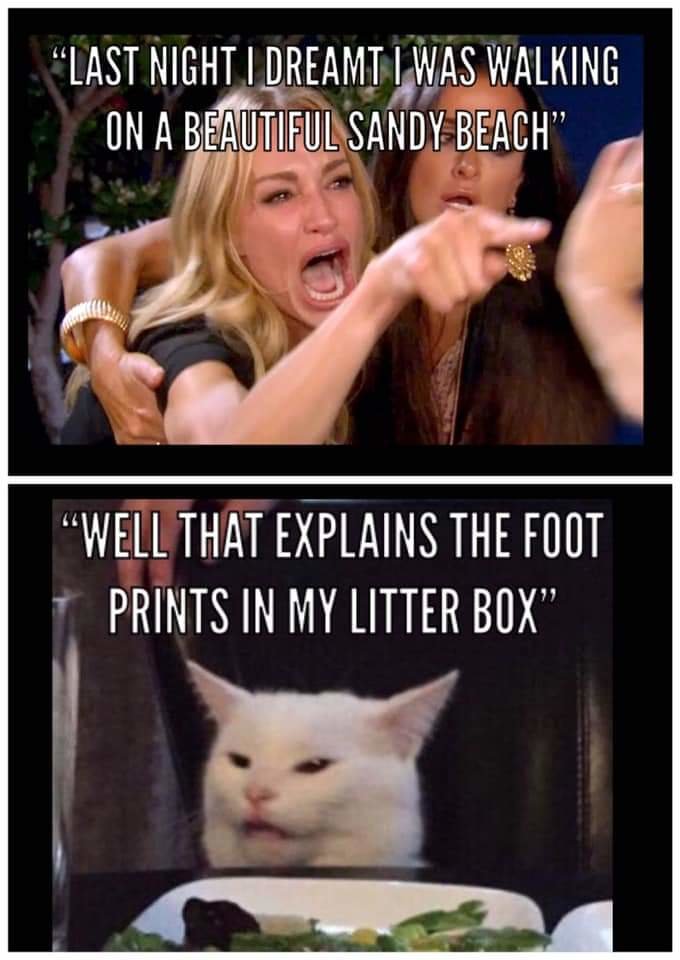 FB_IMG_1588878598823.jpg
