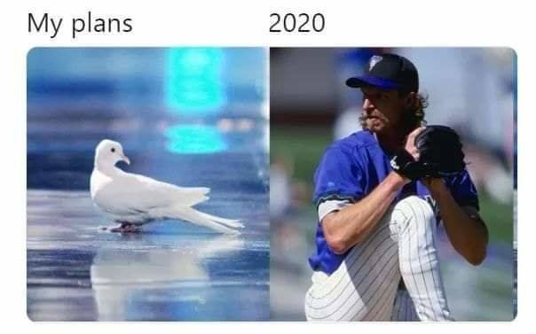 FB_IMG_1589946650741.jpg