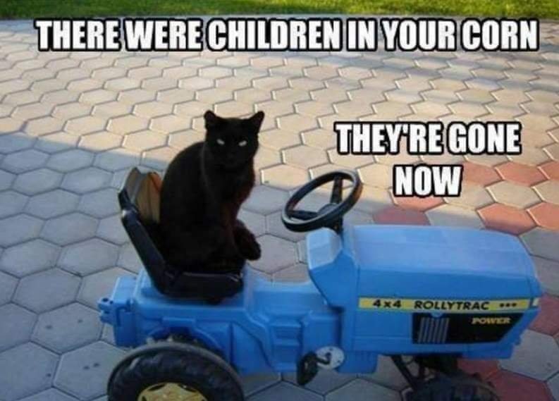 FB_IMG_1591979173939.jpg