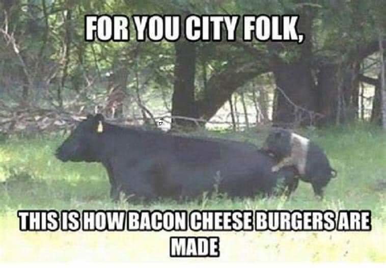 FB_IMG_1592705799804.jpg