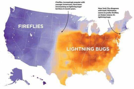 FB_IMG_1594540630113.jpg