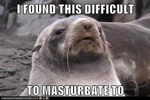 FB_IMG_1595280793889.jpg