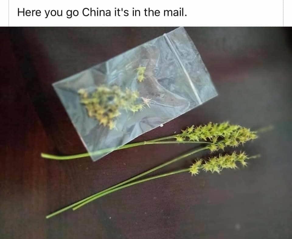 FB_IMG_1596146530468.jpg