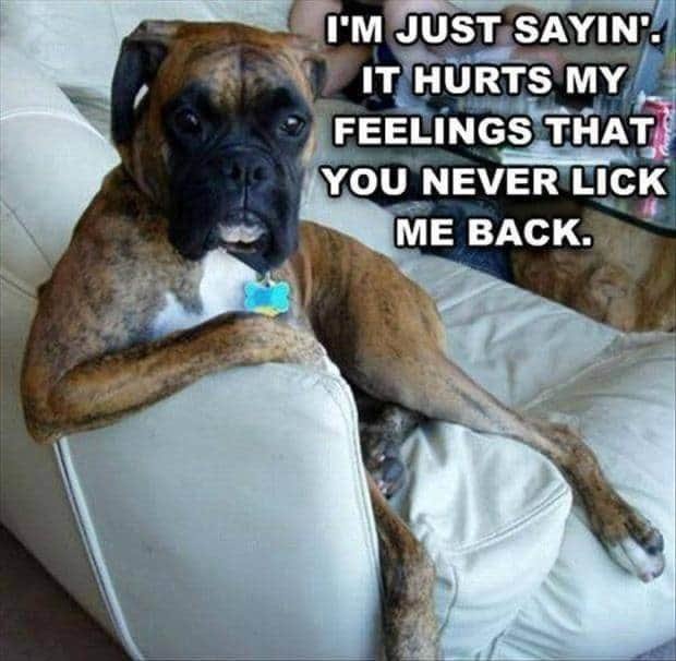 FB_IMG_1596146838035.jpg