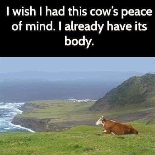FB_IMG_1596764866111.jpg