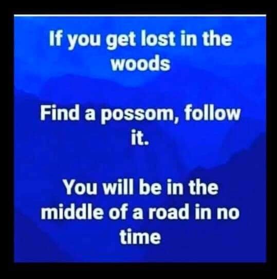 FB_IMG_1599404465926.jpg