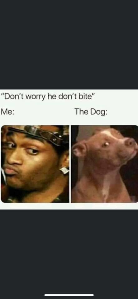 FB_IMG_1600304834772.jpg