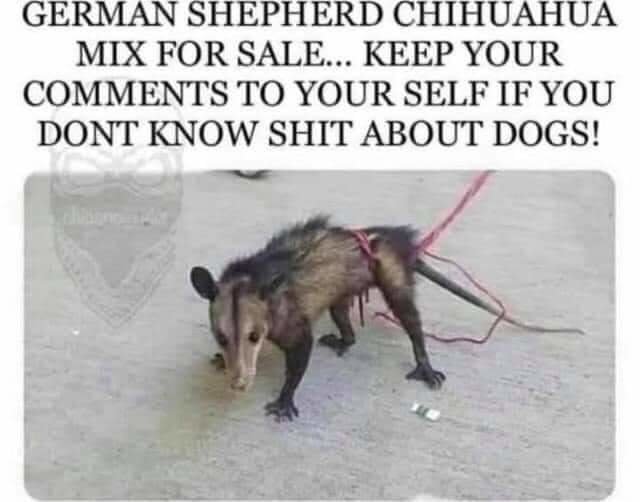 FB_IMG_1600697002860.jpg