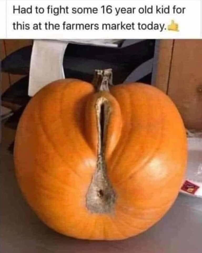 FB_IMG_1602453779074.jpg