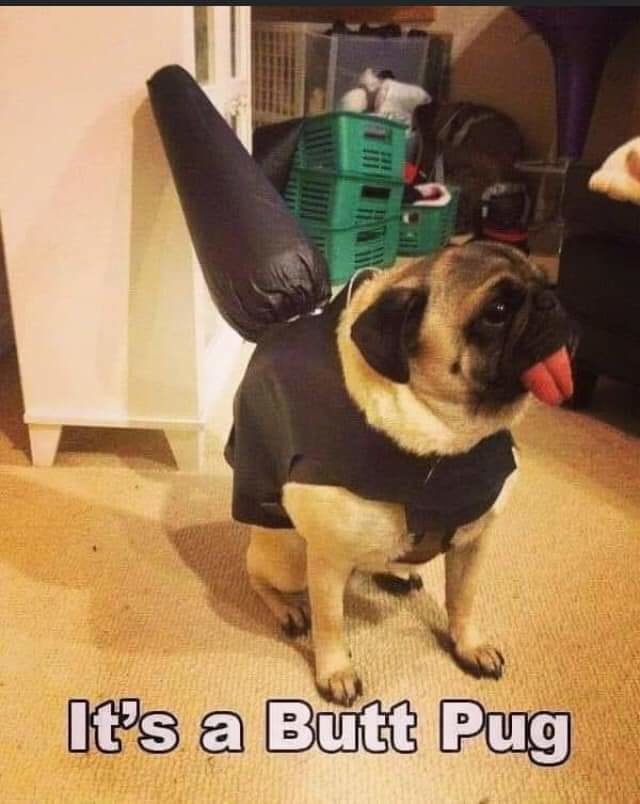 FB_IMG_1603489775421.jpg