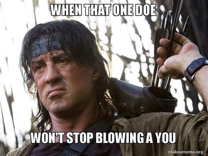 FB_IMG_1605656244771.jpg