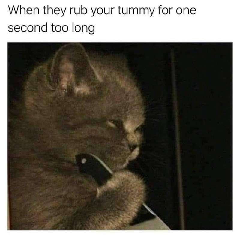 FB_IMG_1605657193635.jpg