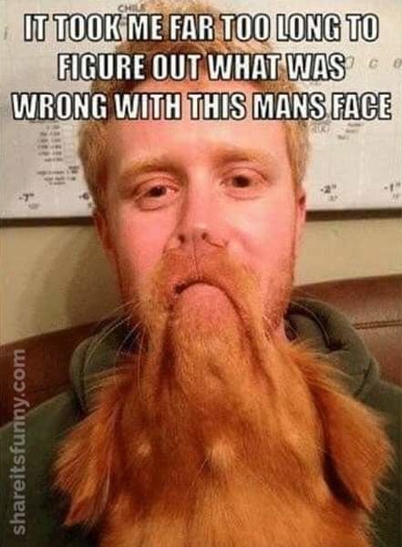 FB_IMG_1606955025428.jpg