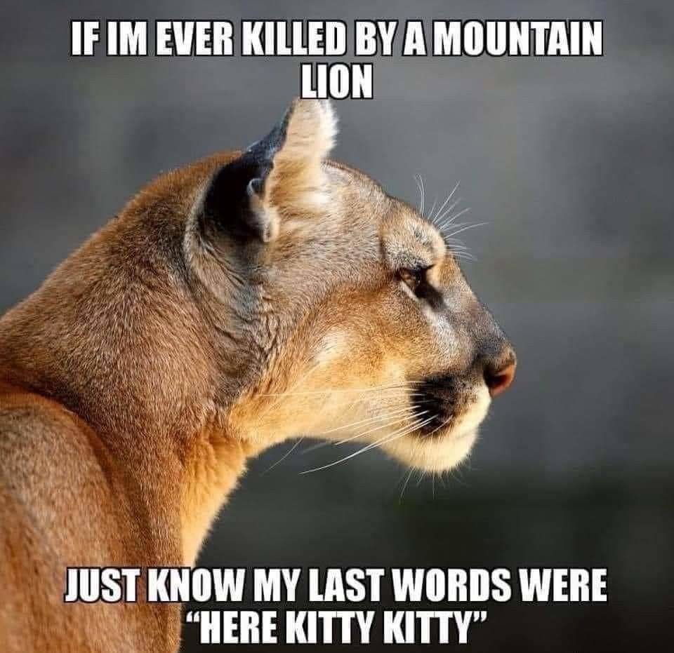 FB_IMG_1608386818505.jpg