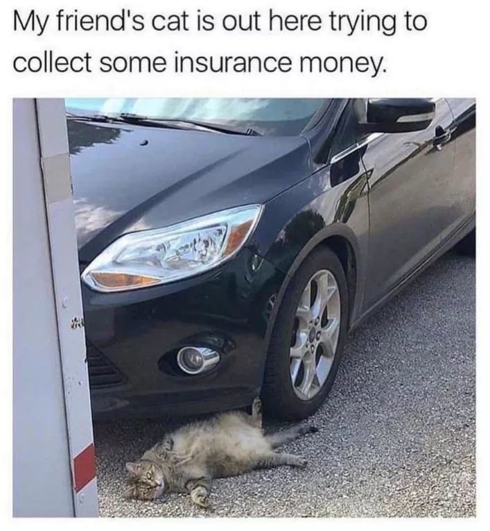 FB_IMG_1611181751182.jpg