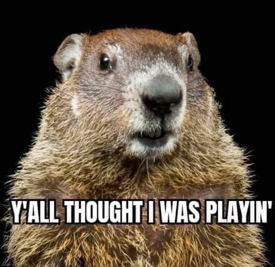 FB_IMG_1613483478605.jpg