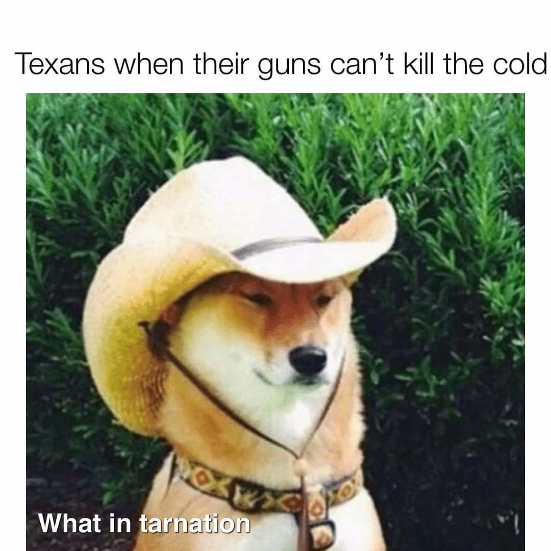 FB_IMG_1613757949799.jpg
