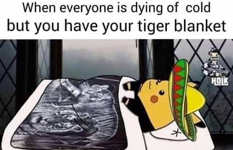FB_IMG_1613791732520.jpg