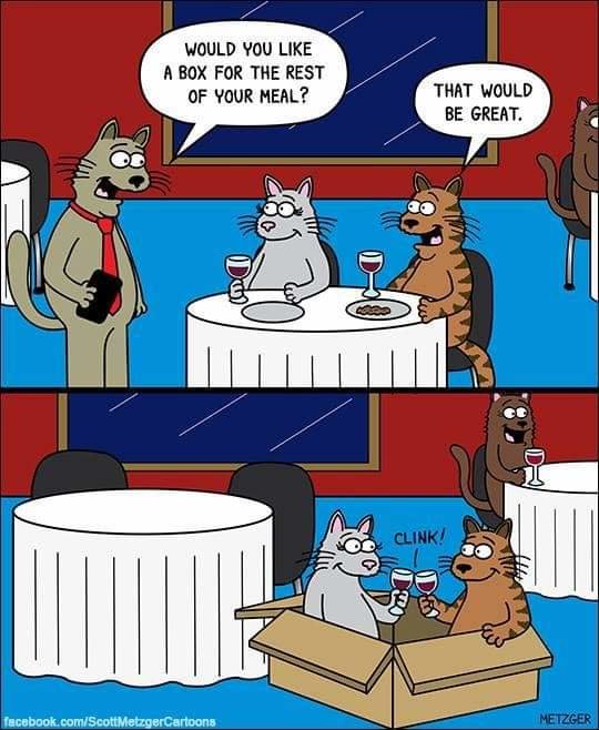 FB_IMG_1618364142899.jpg