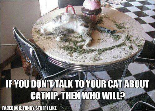 FB_IMG_1620352470670.jpg