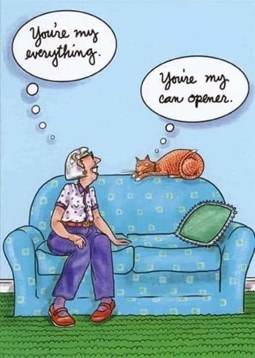 FB_IMG_1628899351174.jpg