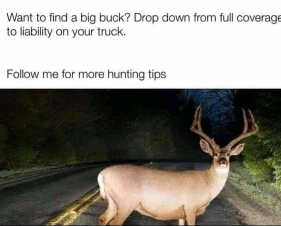 FB_IMG_1629324569450.jpg