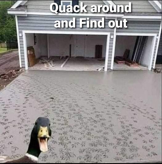 FB_IMG_1630443440672.jpg