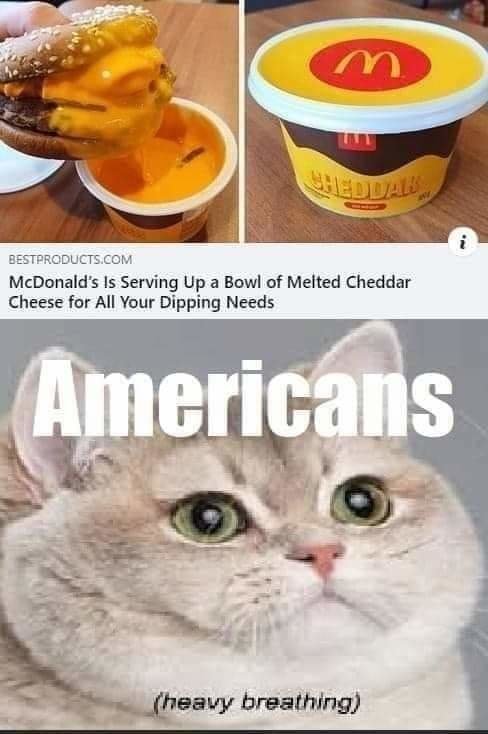 FB_IMG_1634494556234.jpg