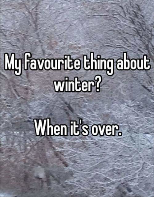 FB_IMG_1634530156887.jpg