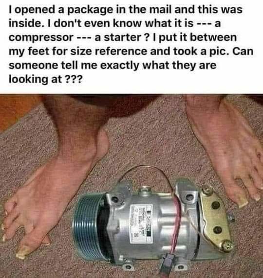 FB_IMG_1635115380497.jpg