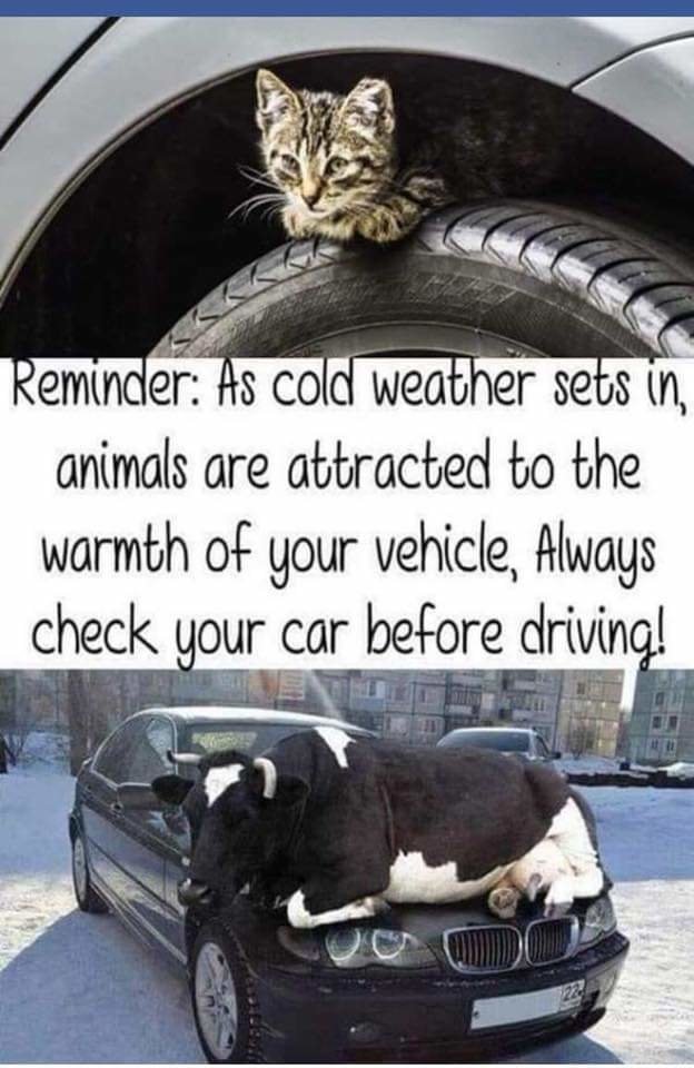 FB_IMG_1643678603737.jpg