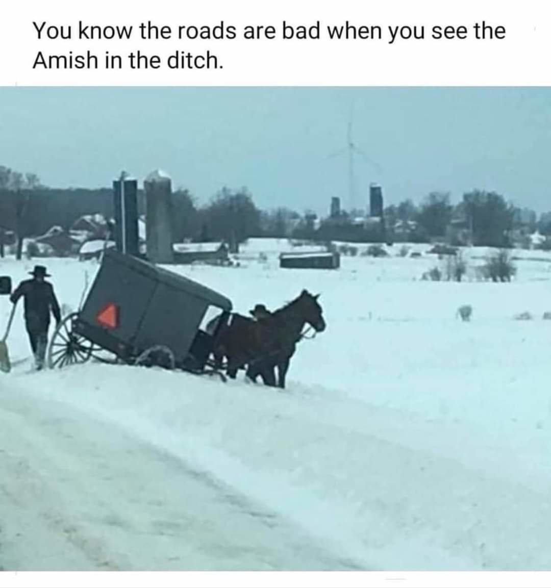 FB_IMG_1643903547808.jpg